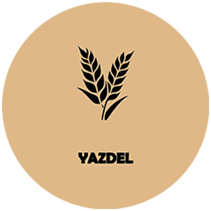 YAZDEL 11 11zon